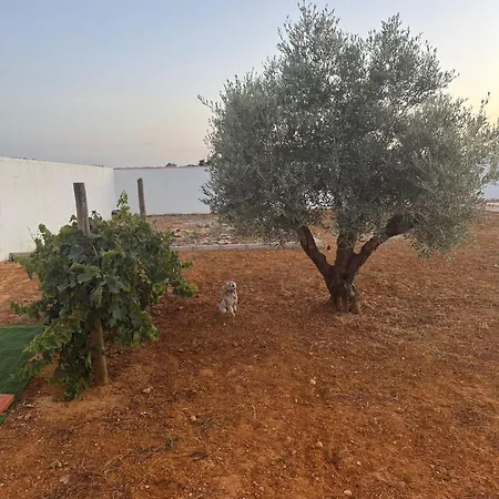 La Urta Holiday home